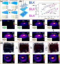 说明: crf313171-fig-0012-m 刘亚楠